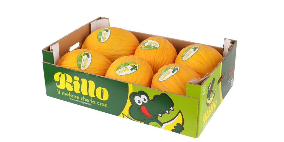 Melone gialletto, nel Metaponto previsto un vuoto produttivo